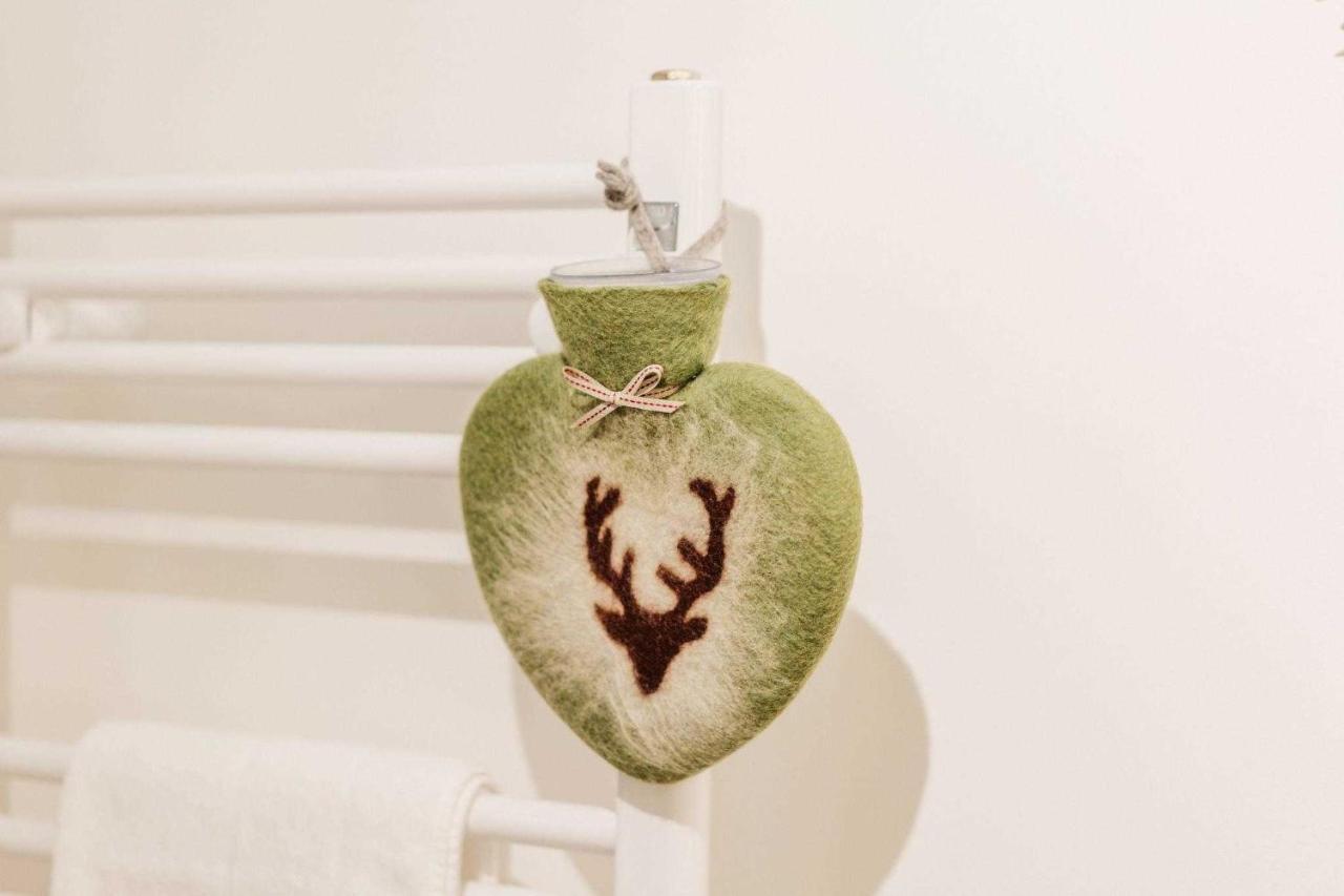 Hyggeglueck Braunlage Apartment Екстериор снимка