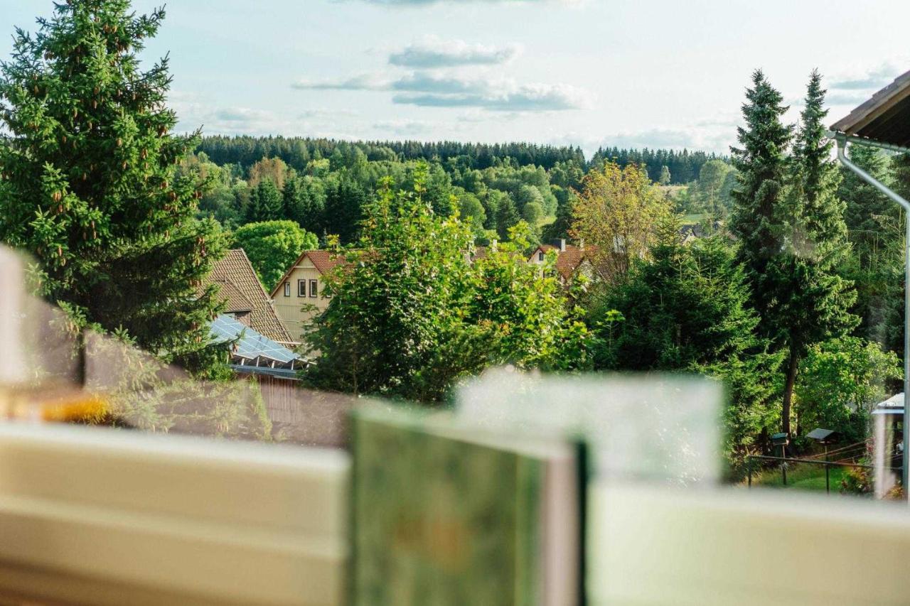 Hyggeglueck Braunlage Apartment Екстериор снимка